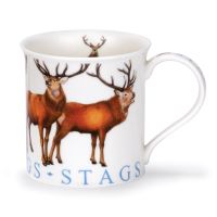 750007 Bute Stags 200